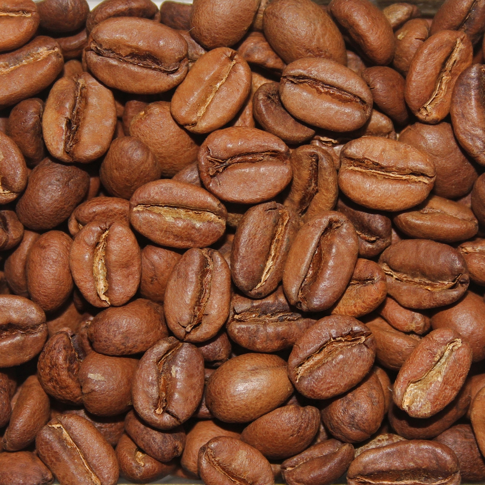 Äthiopien Zege Forest Grown Coffee | Lake Tana