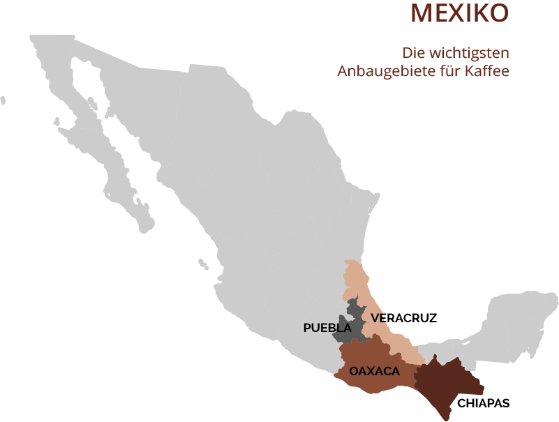 Kaffee aus Mexiko: Die wichtigsten Anbaugbiete