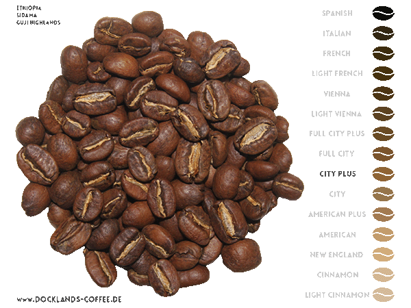 Bohnen vom Sidamo-Kaffee