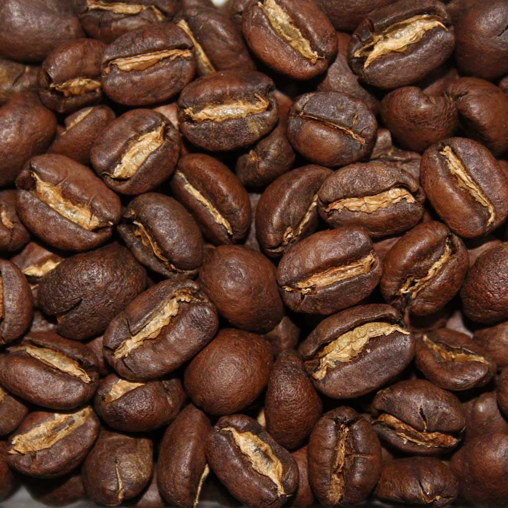Kafa Wildkaffee aus Äthiopien | Wild Grown Kafa Forest