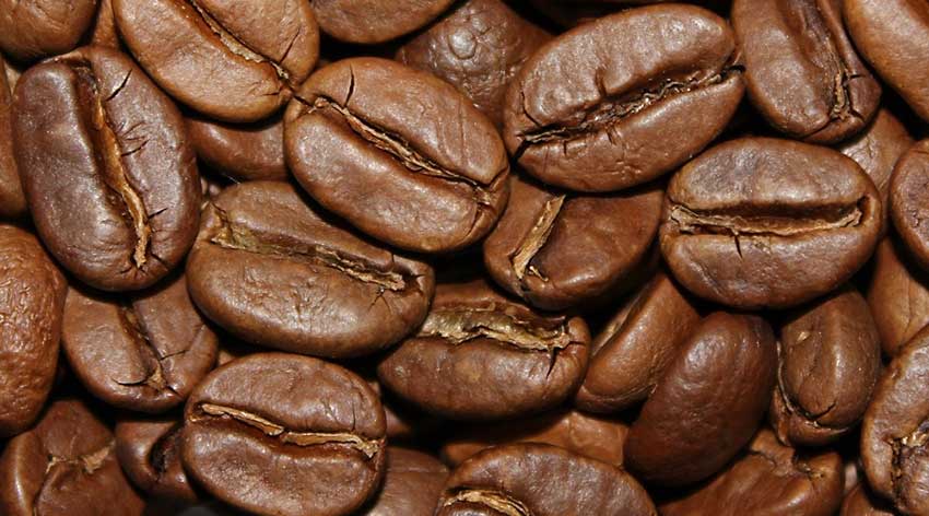 Monsooning Kaffee - der Exot aus Malabar in Indien
