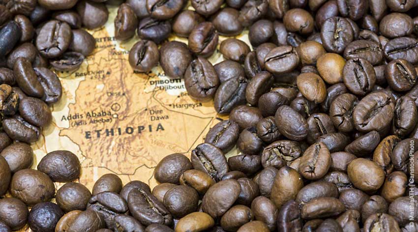 Der Kaffee Ursprung liegt in Äthiopien